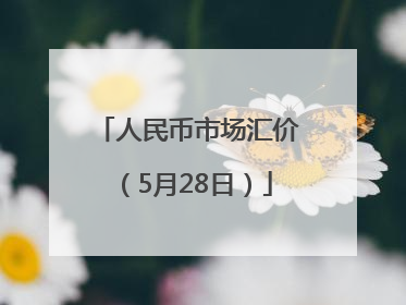 人民币市场汇价（5月28日）