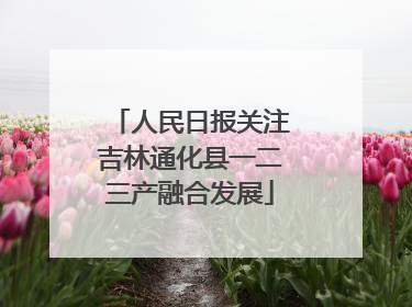 人民日报关注吉林通化县一二三产融合发展