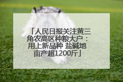 人民日报关注黄三角农高区种粮大户：用上新品种 盐碱地亩产超1200斤