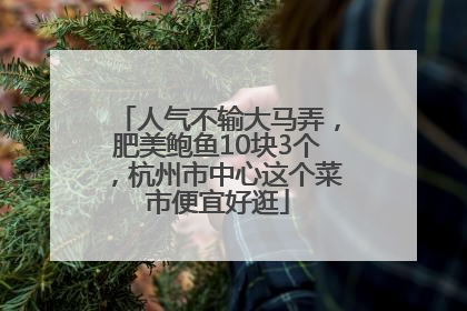 人气不输大马弄，肥美鲍鱼10块3个，杭州市中心这个菜市便宜好逛