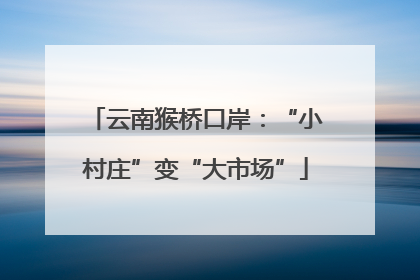 云南猴桥口岸：“小村庄”变“大市场”