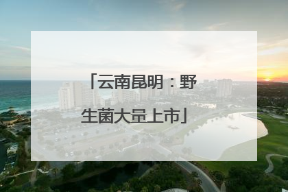 云南昆明：野生菌大量上市