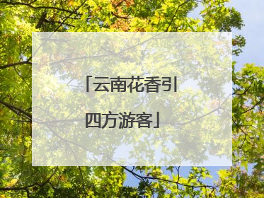 云南花香引四方游客
