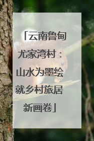 云南鲁甸尤家湾村：山水为墨绘就乡村旅居新画卷