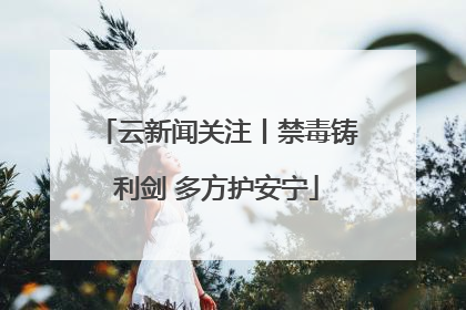 云新闻关注丨禁毒铸利剑 多方护安宁