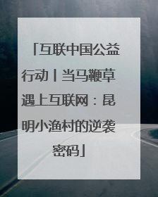 互联中国公益行动丨当马鞭草遇上互联网：昆明小渔村的逆袭密码