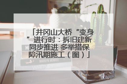 井冈山大桥“变身”进行时：拆旧建新同步推进 多举措保障汛期施工（图）