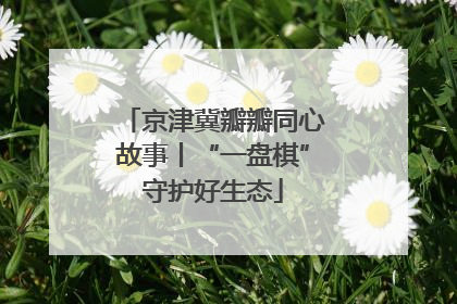 京津冀瓣瓣同心故事丨“一盘棋”守护好生态
