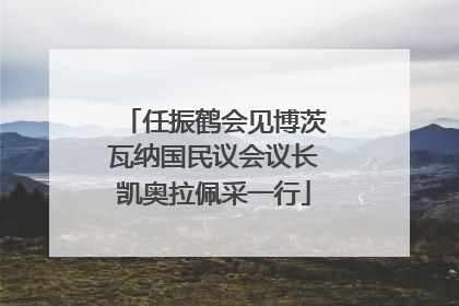 任振鹤会见博茨瓦纳国民议会议长凯奥拉佩采一行