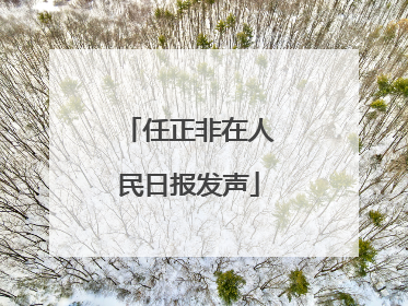任正非在人民日报发声