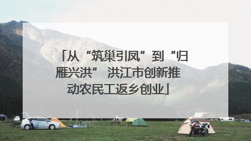 从“筑巢引凤”到“归雁兴洪” 洪江市创新推动农民工返乡创业