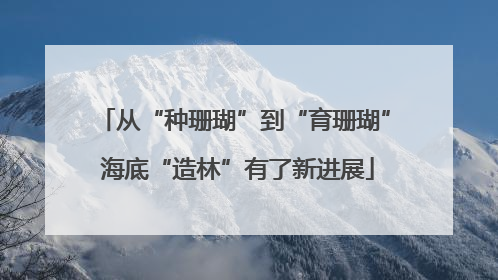 从“种珊瑚”到“育珊瑚” 海底“造林”有了新进展