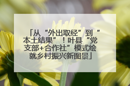 从“外出取经”到“本土结果”！叶县“党支部+合作社”模式绘就乡村振兴新图景