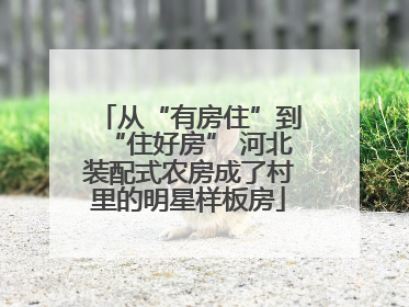 从“有房住”到“住好房” 河北装配式农房成了村里的明星样板房