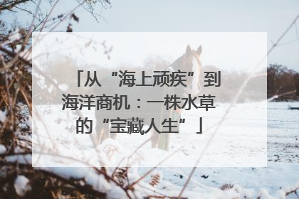 从“海上顽疾”到海洋商机：一株水草的“宝藏人生”