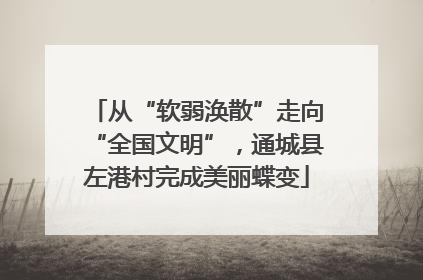从“软弱涣散”走向“全国文明”，通城县左港村完成美丽蝶变