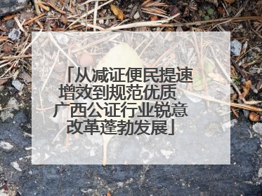 从减证便民提速增效到规范优质 广西公证行业锐意改革蓬勃发展