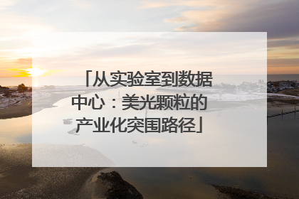 从实验室到数据中心：美光颗粒的产业化突围路径