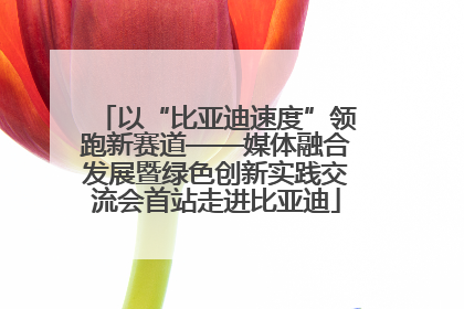 以“比亚迪速度”领跑新赛道——媒体融合发展暨绿色创新实践交流会首站走进比亚迪