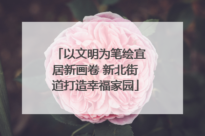 以文明为笔绘宜居新画卷 新北街道打造幸福家园