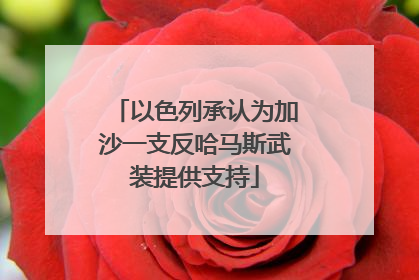 以色列承认为加沙一支反哈马斯武装提供支持