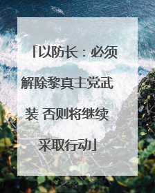 以防长：必须解除黎真主党武装 否则将继续采取行动