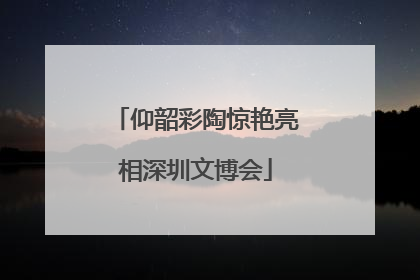 仰韶彩陶惊艳亮相深圳文博会