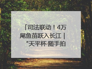 司法联动！4万尾鱼苗跃入长江｜“天平杯·随手拍”作品展播
