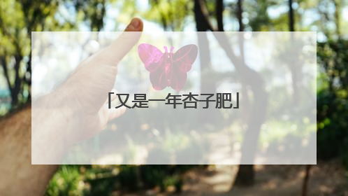 又是一年杏子肥