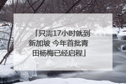 只需17小时就到新加坡 今年首批青田杨梅已经启程