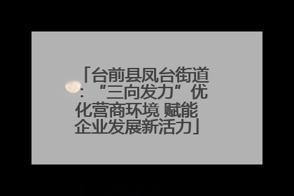 台前县凤台街道：“三向发力”优化营商环境 赋能企业发展新活力