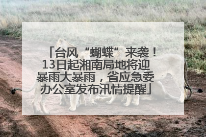 台风“蝴蝶”来袭！13日起湘南局地将迎暴雨大暴雨，省应急委办公室发布汛情提醒