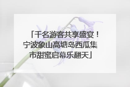 千名游客共享盛宴！宁波象山高塘岛西瓜集市甜蜜启幕乐翻天