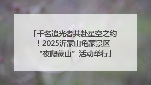 千名追光者共赴星空之约！2025沂蒙山龟蒙景区“夜爬蒙山”活动举行