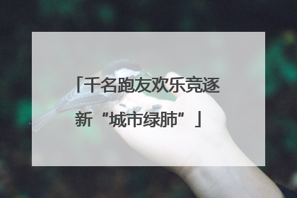千名跑友欢乐竞逐新“城市绿肺”