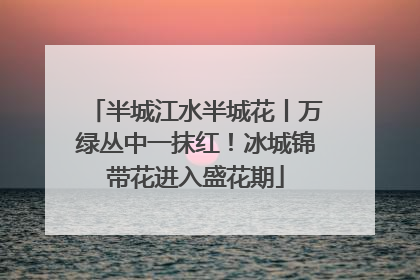 半城江水半城花丨万绿丛中一抹红！冰城锦带花进入盛花期