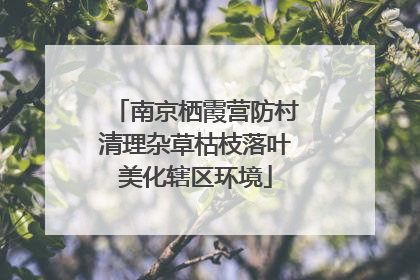 南京栖霞营防村清理杂草枯枝落叶美化辖区环境