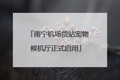 南宁机场货站宠物候机厅正式启用