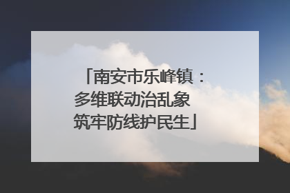 南安市乐峰镇：多维联动治乱象 筑牢防线护民生