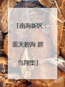 南海新区：蓝天碧海 群鸟翔集
