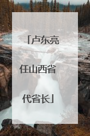 卢东亮任山西省代省长
