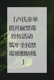 卢氏多举措开展禁毒宣传活动 筑牢全民禁毒思想防线