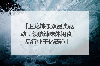 卫龙辣条双品类驱动，领航辣味休闲食品行业千亿赛道