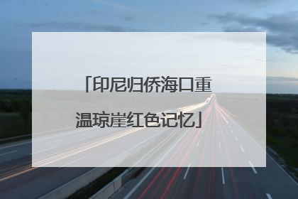 印尼归侨海口重温琼崖红色记忆