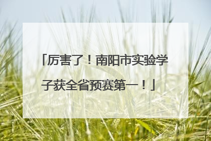 厉害了！南阳市实验学子获全省预赛第一！