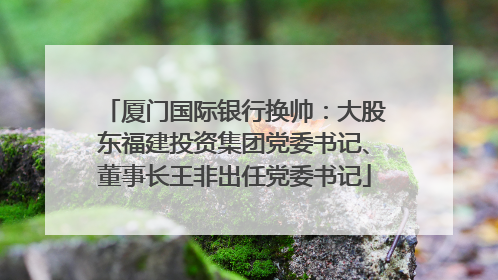 厦门国际银行换帅：大股东福建投资集团党委书记、董事长王非出任党委书记