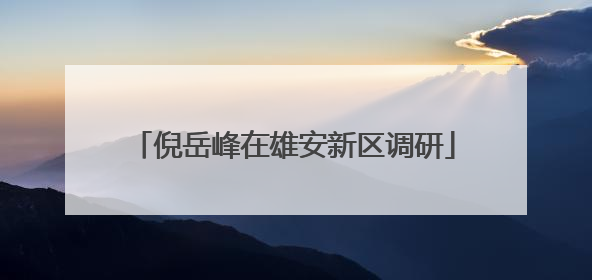倪岳峰在雄安新区调研