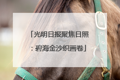光明日报聚焦日照：碧海金沙织画卷