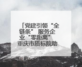党建引领“全链条” 服务企业“零距离” 重庆市质标院助力新能源汽车产业链提升质量管理水平