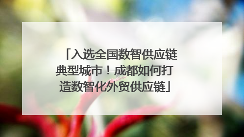入选全国数智供应链典型城市！成都如何打造数智化外贸供应链